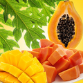 Mango Papaya Fragrance Oil