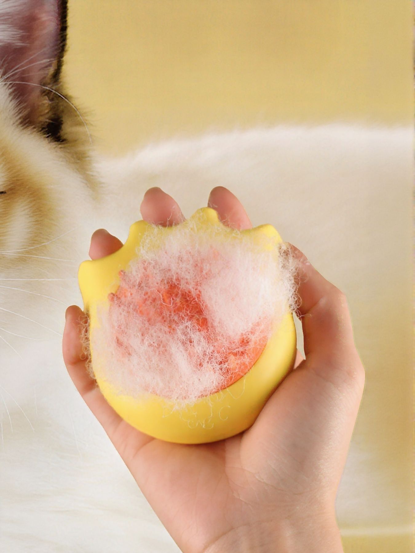 Soft Pet Shower Brush