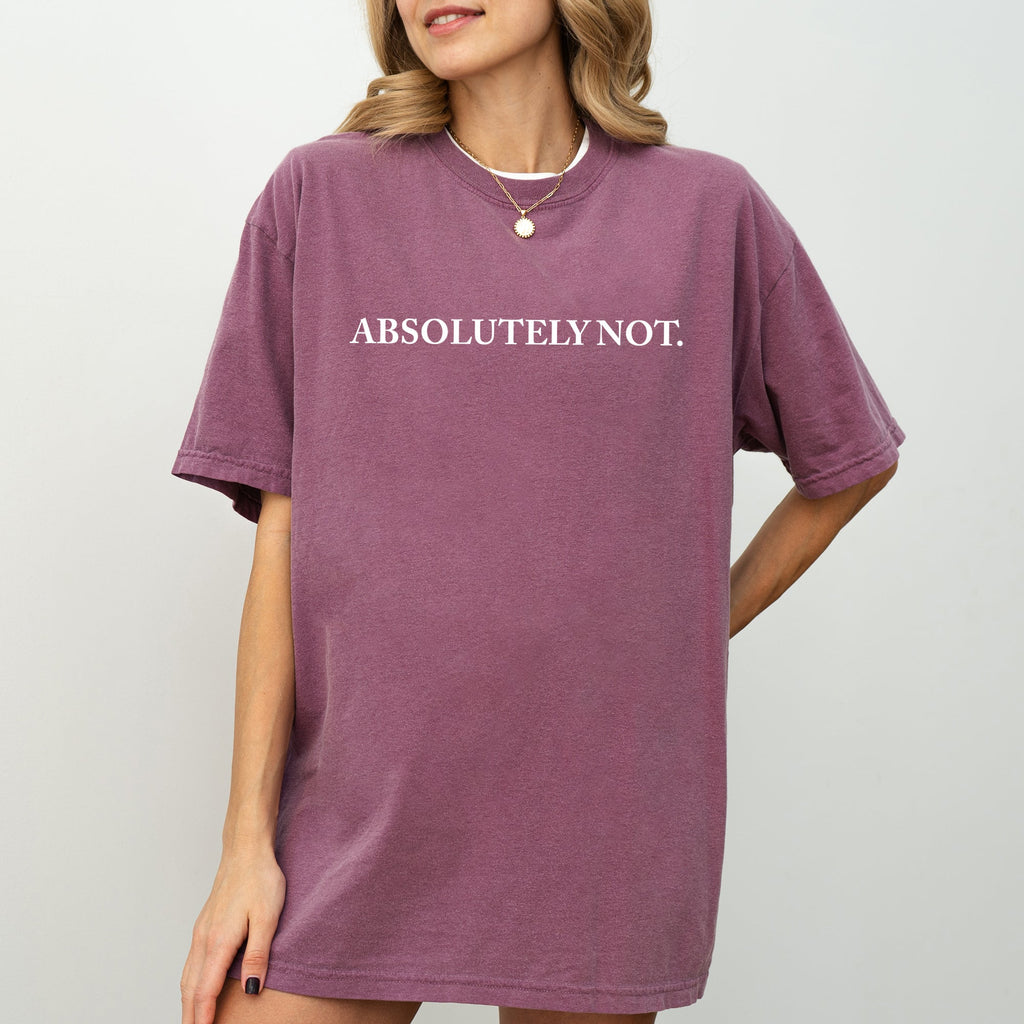 Absolutely Not Funny Sassy Minimal Aesthetic Meme Style Graphic Comfort Colors Tee