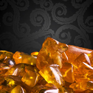 Black Linen & Amber Fragrance Oil
