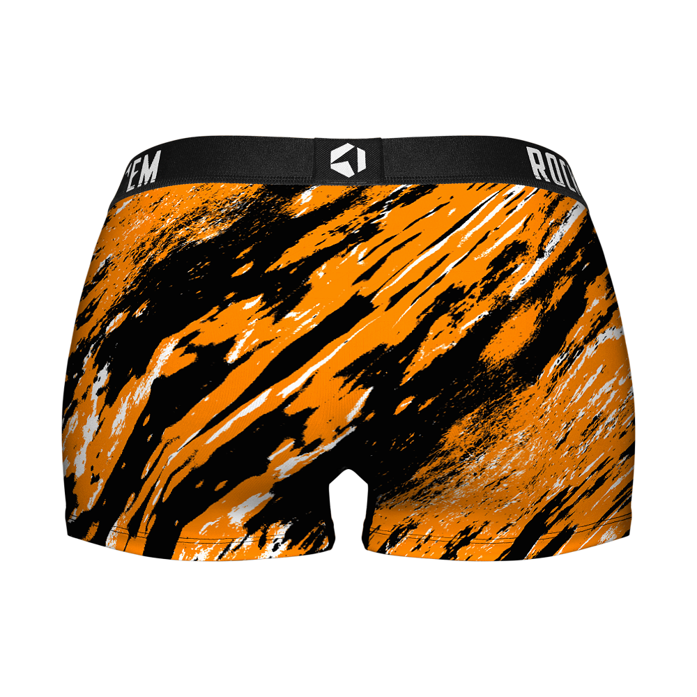 Tennessee Volunteers - Retro Paint