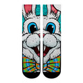 Easter Bunny