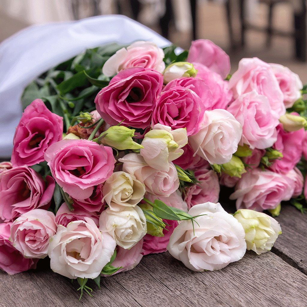 Flowerbomb Fragrance Oil