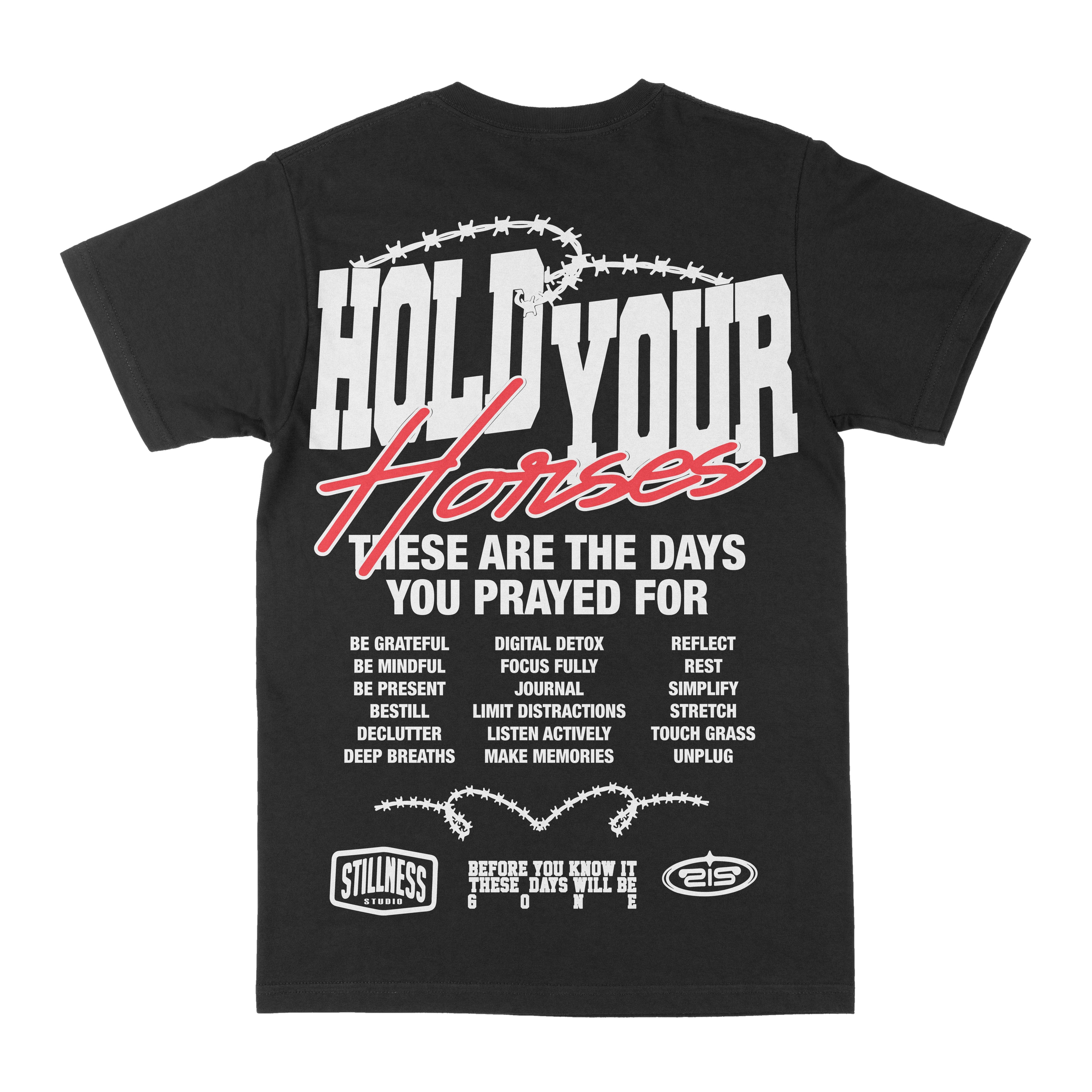 Hold Your Horses Graphic Tee