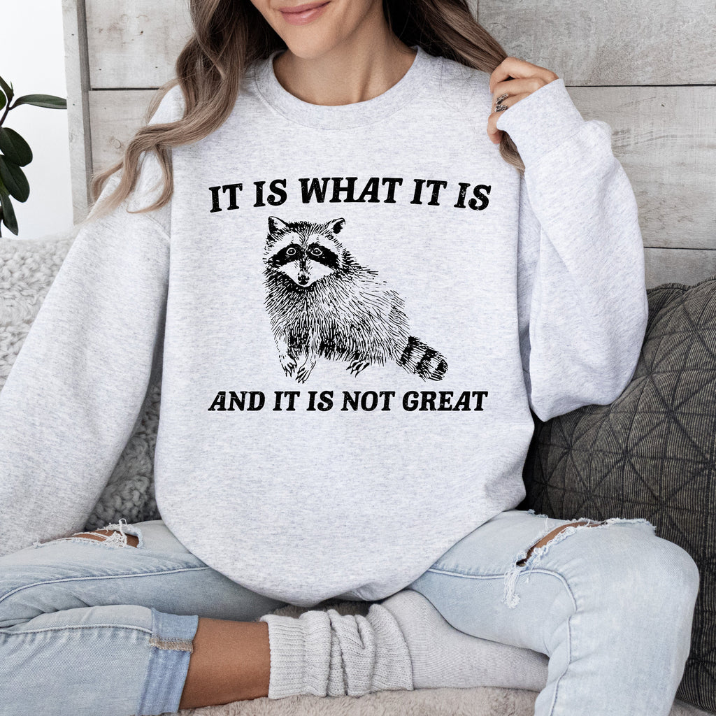 It Is What It Is And It Is Not Great Raccoon Trash Panda Meme Edition Sweatshirt