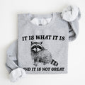 It Is What It Is And It Is Not Great Raccoon Trash Panda Meme Edition Sweatshirt