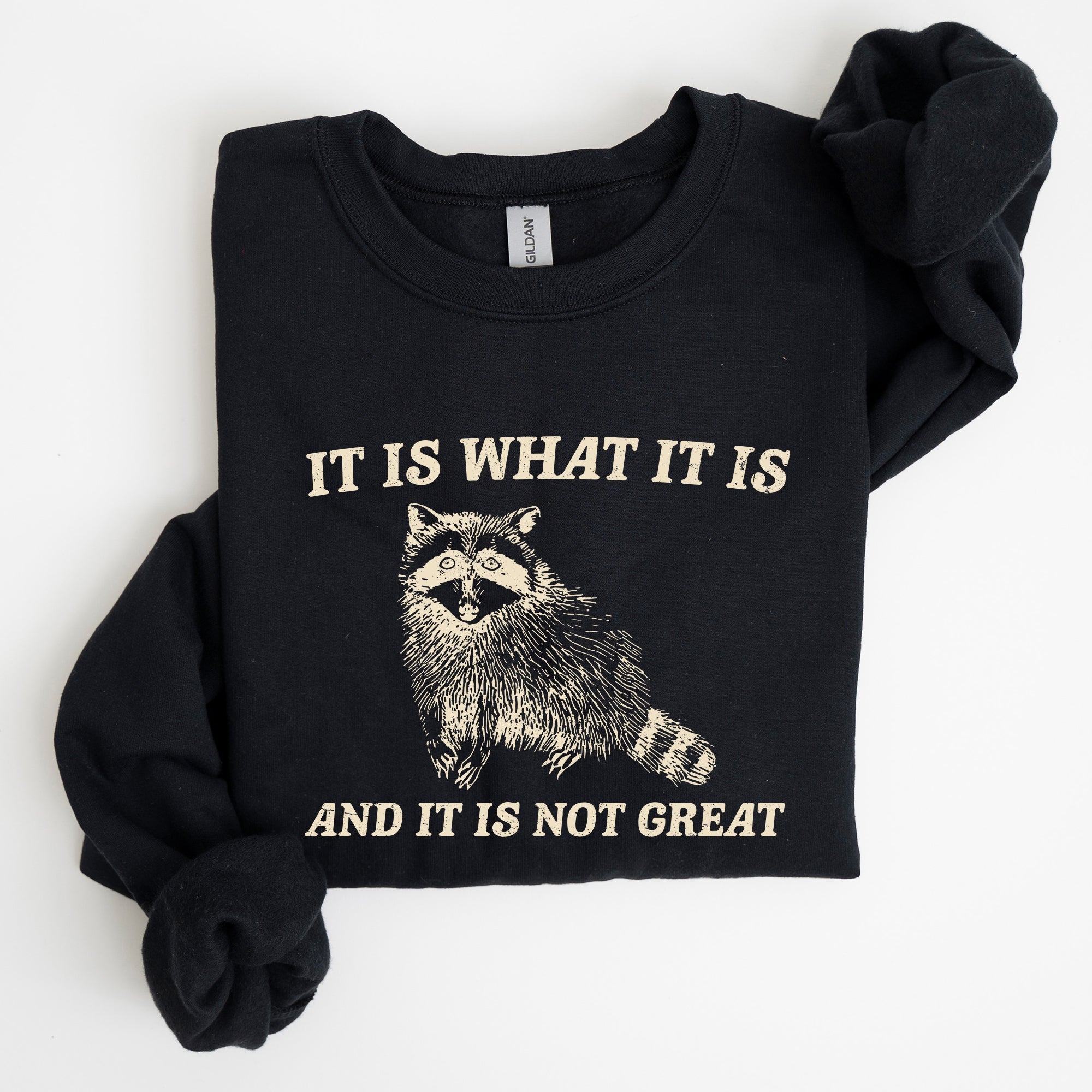 It Is What It Is And It Is Not Great Raccoon Funny Limited Edition Comfort Colors Everyday Casual Wear Sweatshirt