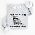 It Is What It Is And It Is Not Great Raccoon Funny Limited Edition Comfort Colors Everyday Casual Wear Sweatshirt