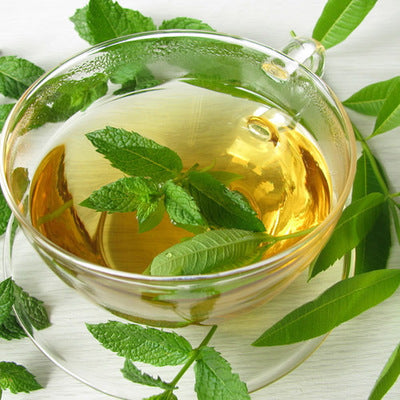 Lemon Verbena Fragrance Oil