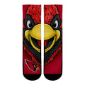 Arizona Cardinals - Split Face Mascot