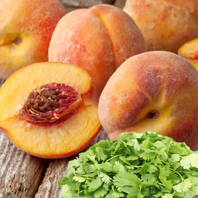 Peach Cilantro Fragrance Oil