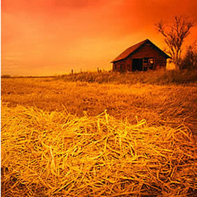 Autumn Harvest Fragrance Oil