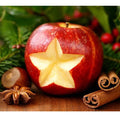 Christmas Splendor Fragrance Oil