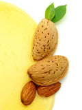 Honey Almond Fragrance Oil