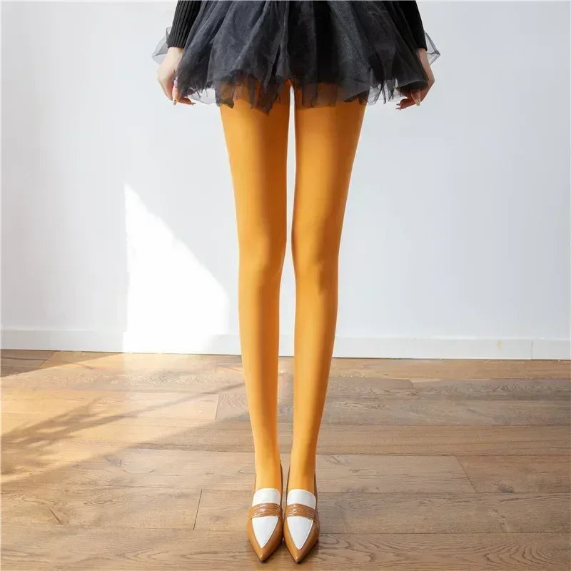 Trendix New Red Stockings Women Bodycon Super Elastic See Through Lace Pantyhose Autumn Sexy Slim Elegant Burgundy Tights Winter