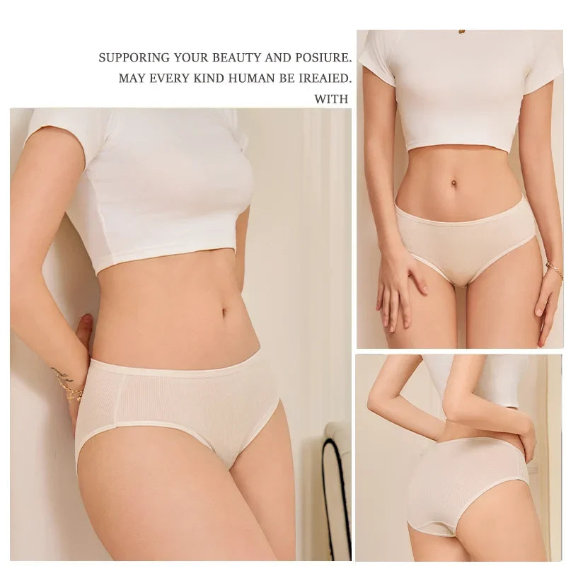 4Pcs/Set Women Lace Mesh Briefs Sexy Comfortable Stretchy Semi Sheer French-Cut Panties Women's Underwear Breathable Lingerie