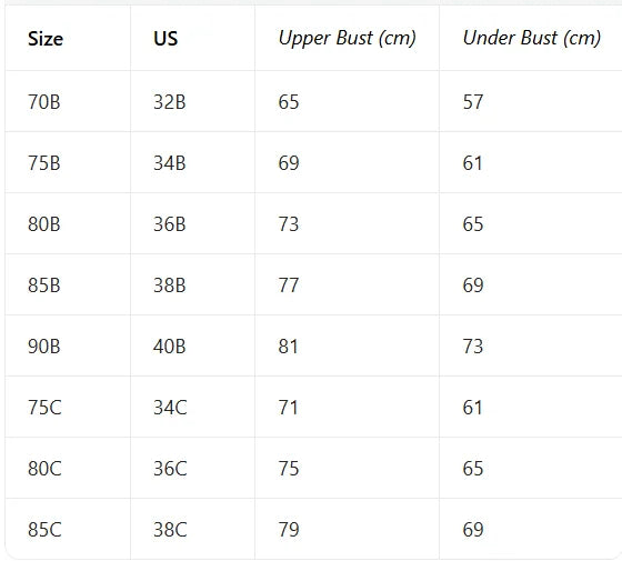 3, 6Pcs Elegant Bow Women's Underwear Set Lace Spliced Push up Bras French Soft Women's Bra Lingerie Underwear
