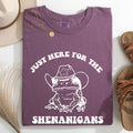 Shenanigans Frog Sheriff St Patrick's Day Shamrock Leprechaun Charm Comfort Colors Tee