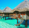 Tahiti Sweetie Fragrance Oil