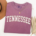 Tennessee Football Tailgate Party Game Day University Pride Statewide Edition Comfort Colors Tee