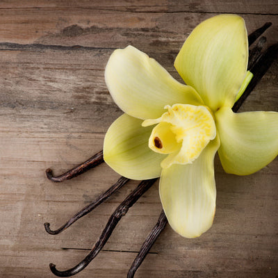 Vanilla Fragrance Oil