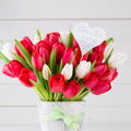 Wildberry Tulip Type Fragrance Oil