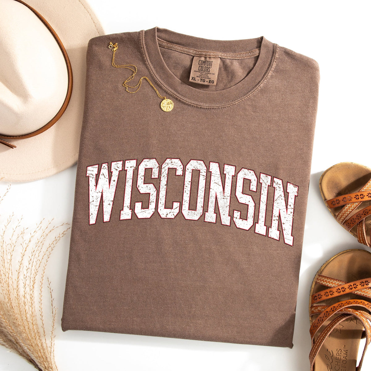 Wisconsin Football Game Day Tailgate Party University State Fans Unite Comfort Colors Tee