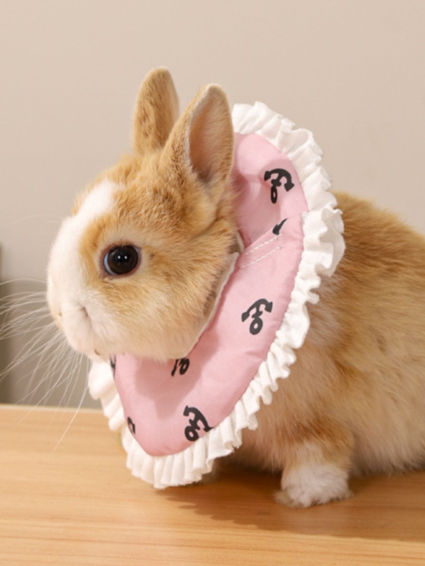 Adjustable Pet Collars