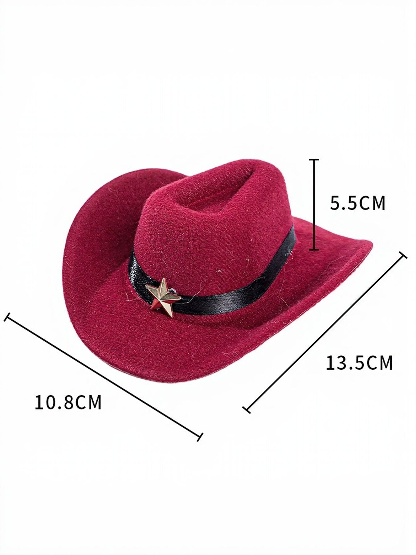 Paisley Print Pet Scarf & Hat