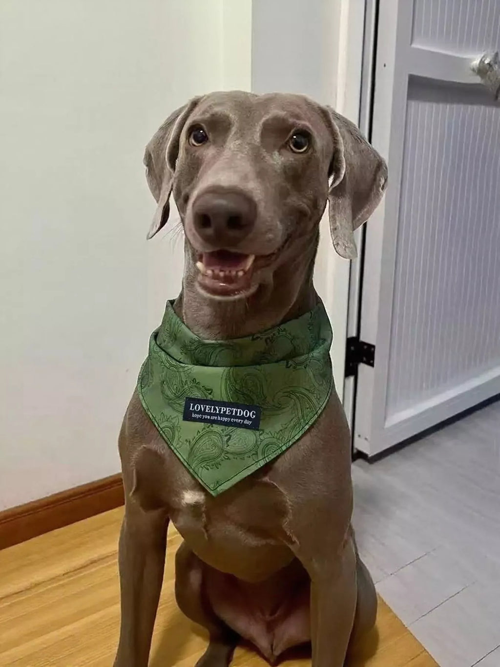 Lightweight Pet Scarf