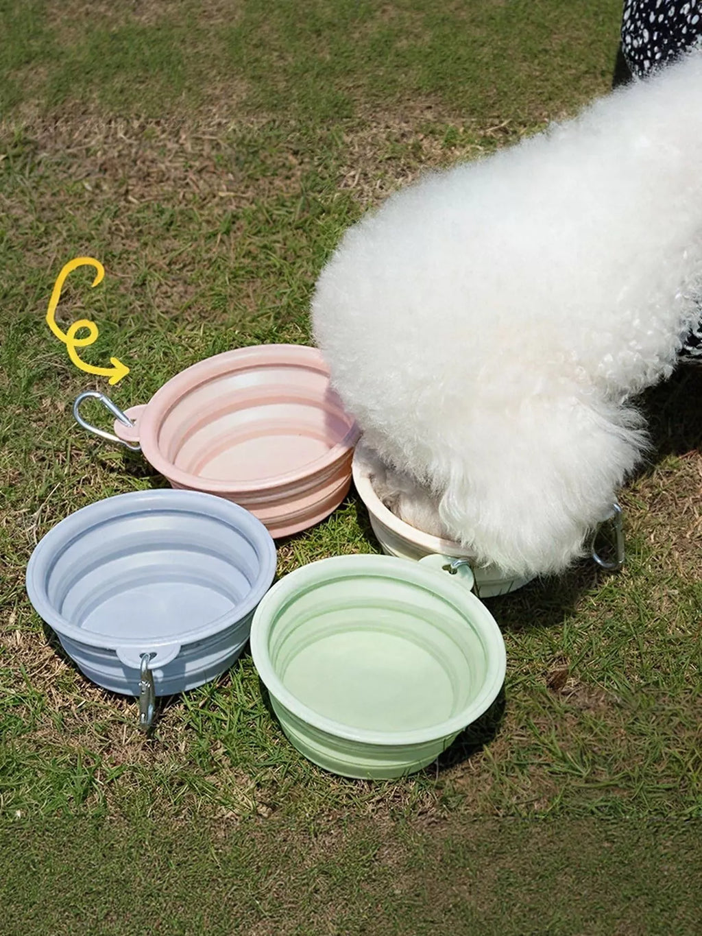 Portable Collapsible Pet Bowls