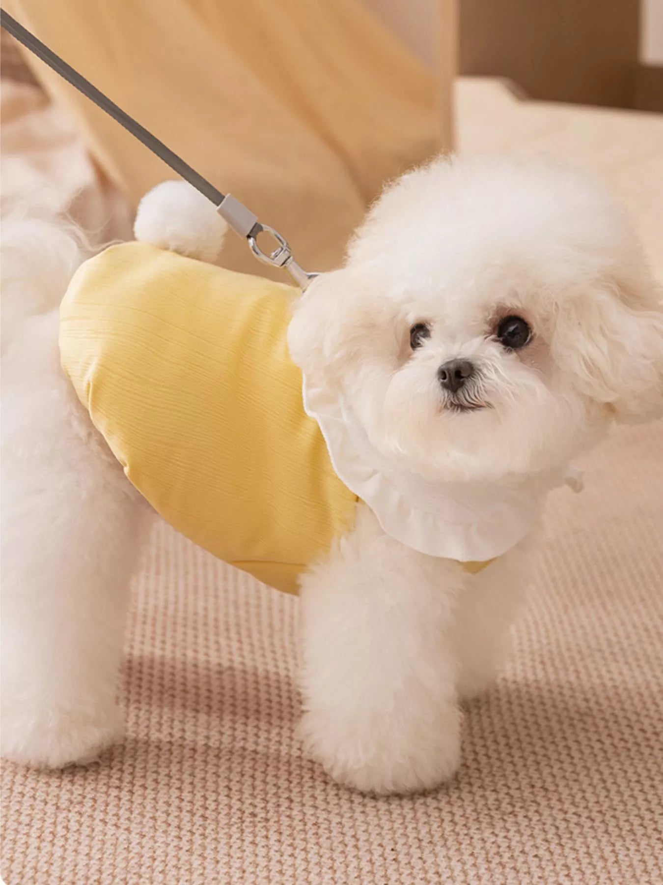 Button-Down Pet Jumpsuit with Ruffle Collar