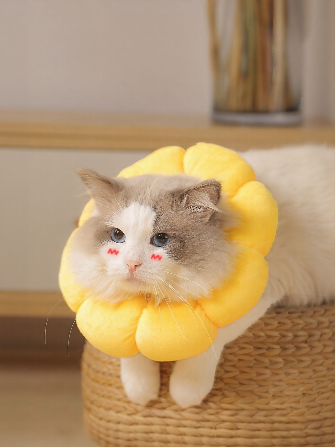 Sunflower Protective Pet Collar
