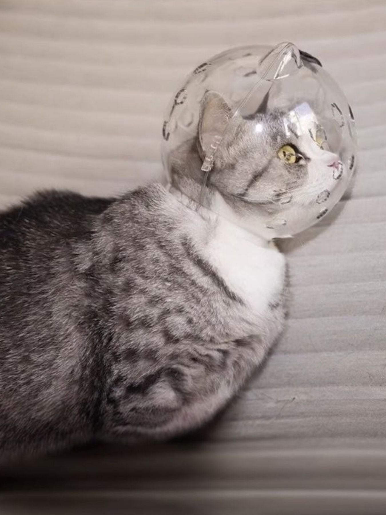 Transparent Anti-Bite Pet Spherical Head Cover