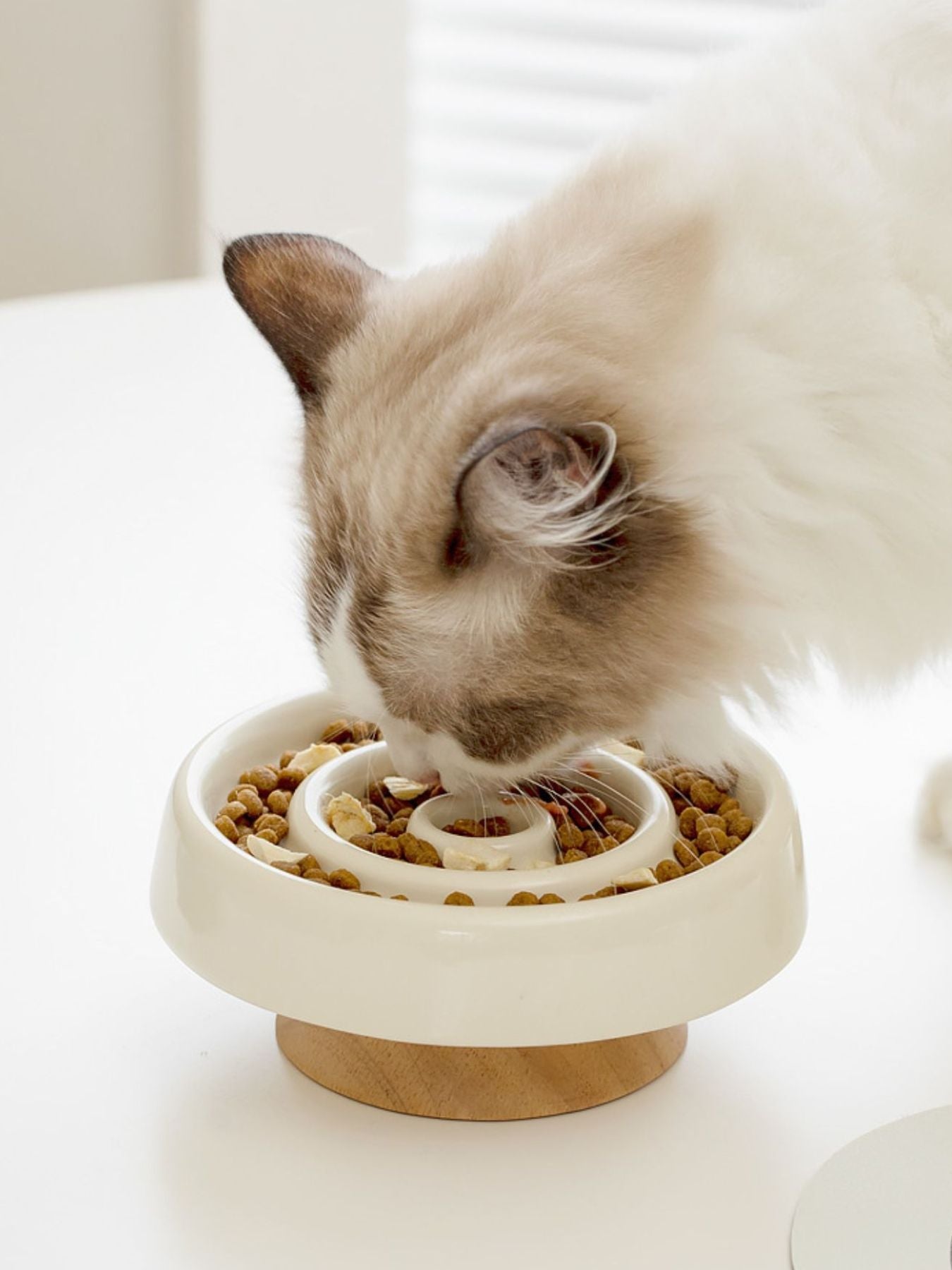 Interactive Slow Feeder Pet Bowl