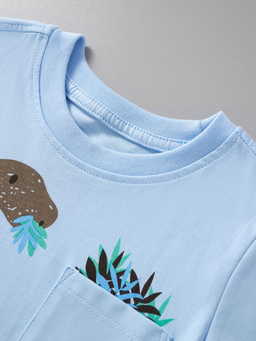 Children's Graphic Short Sleeve Tee and Shorts Set