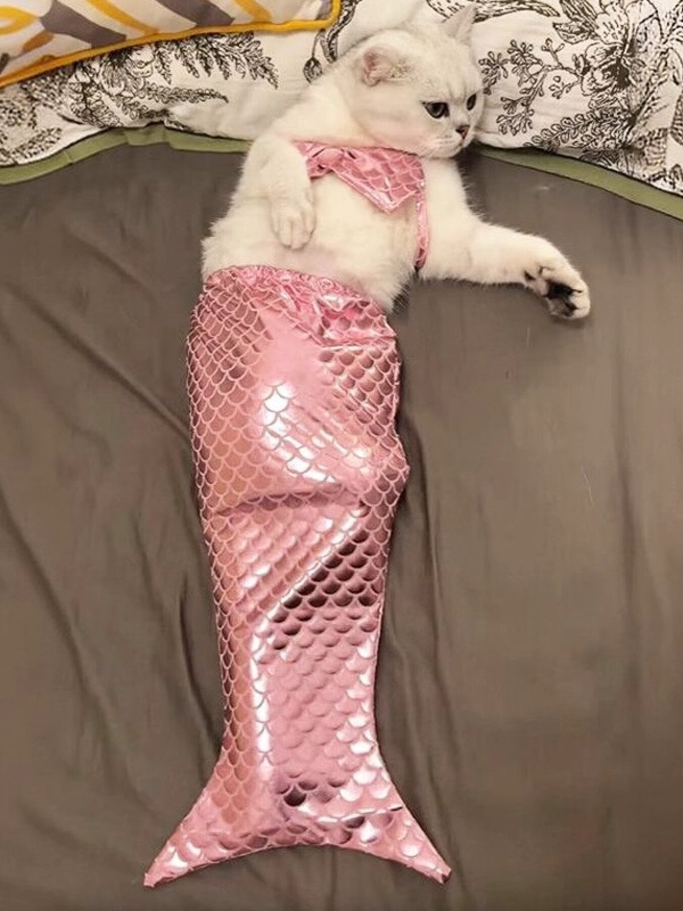 Shiny Mermaid Pet Costume Dress