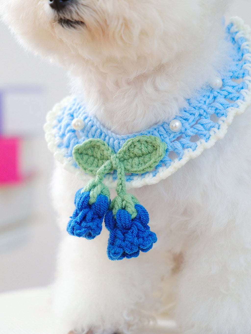 Contrast Pet Scarf