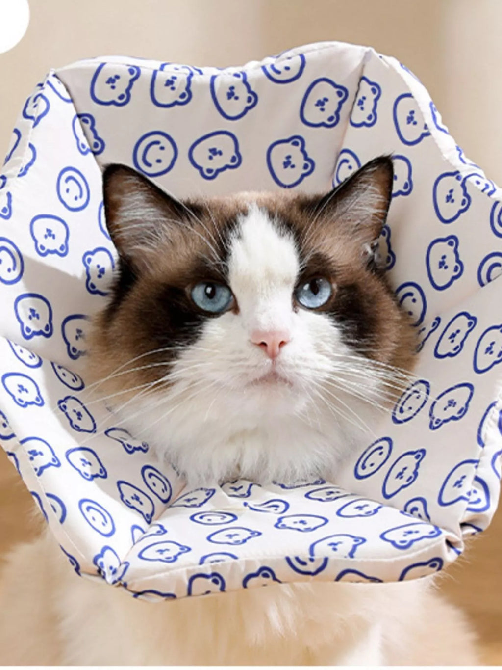 Cute Cartoon Pattern Pet Collar