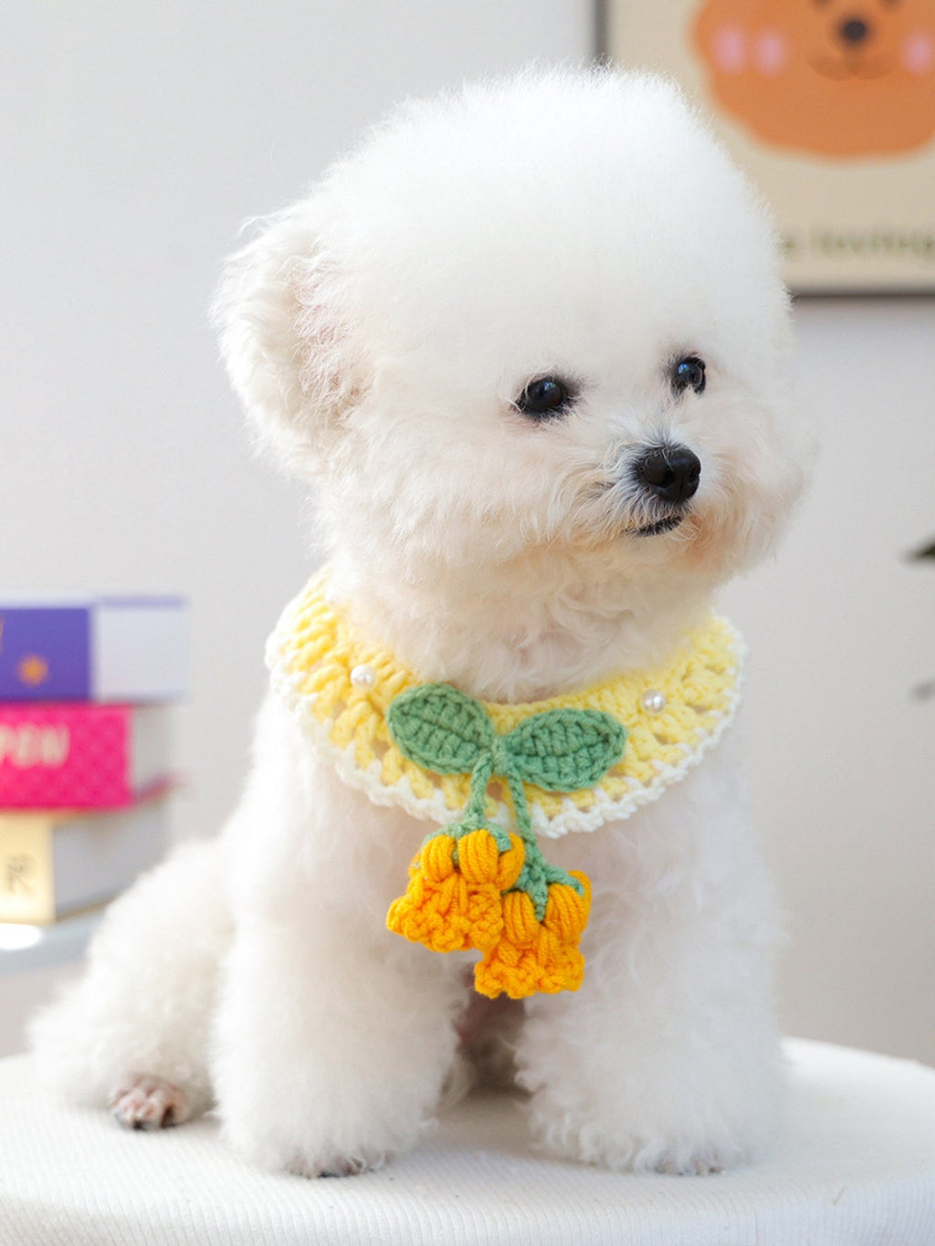 Contrast Pet Scarf