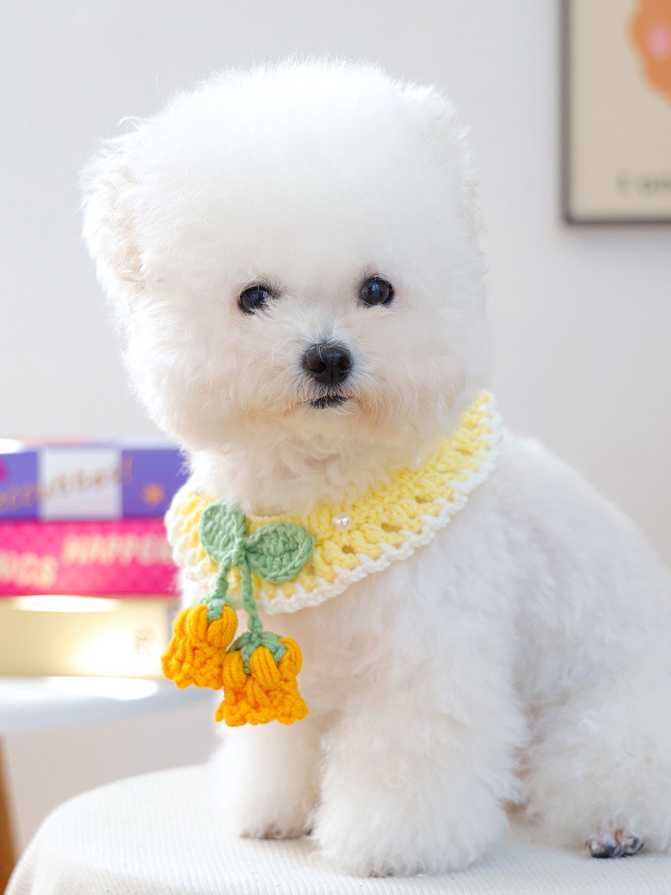 Contrast Pet Scarf