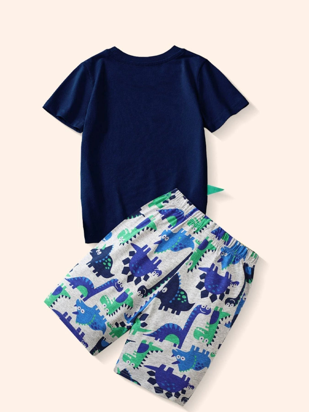 Children's Dinosaur Short Sleeve Tee and Shorts Set