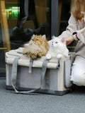 Portable Breathable Pet Carrier Bag
