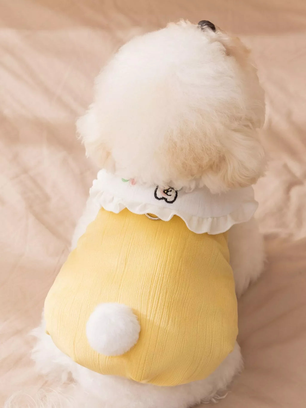 Button-Down Pet Jumpsuit with Ruffle Collar