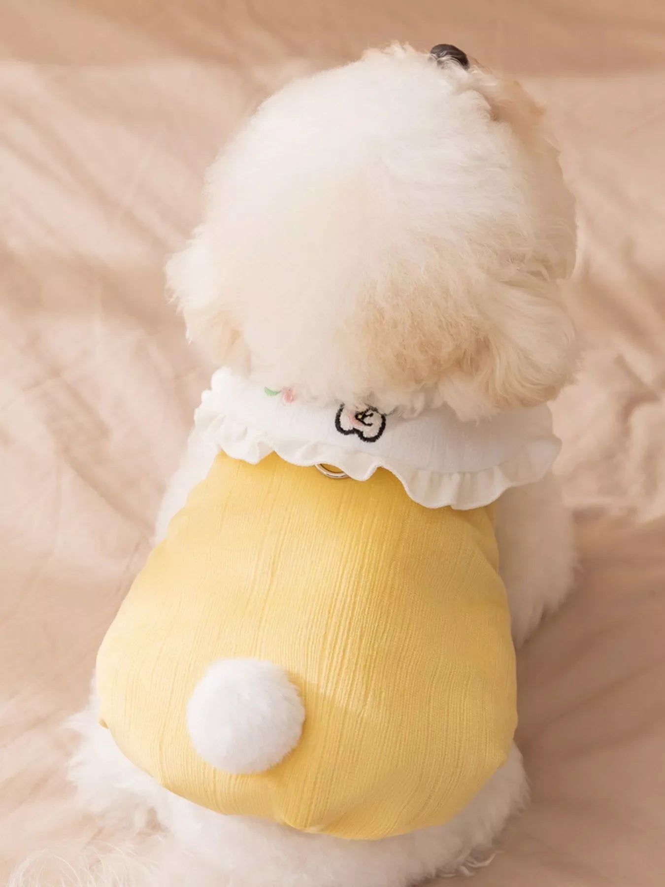 Button-Down Pet Jumpsuit with Ruffle Collar
