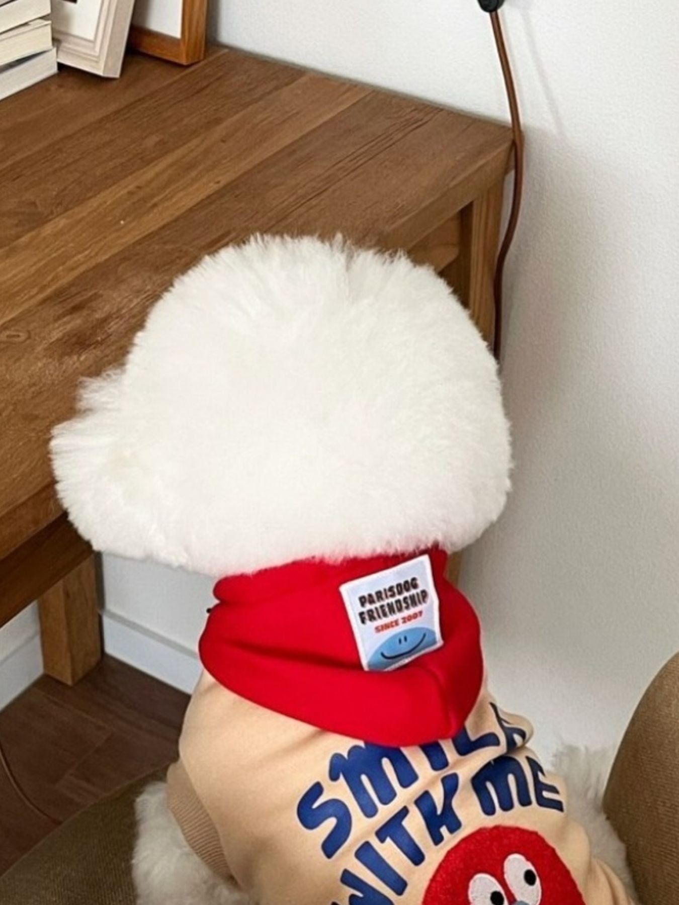Cute Cartoon Pet Top