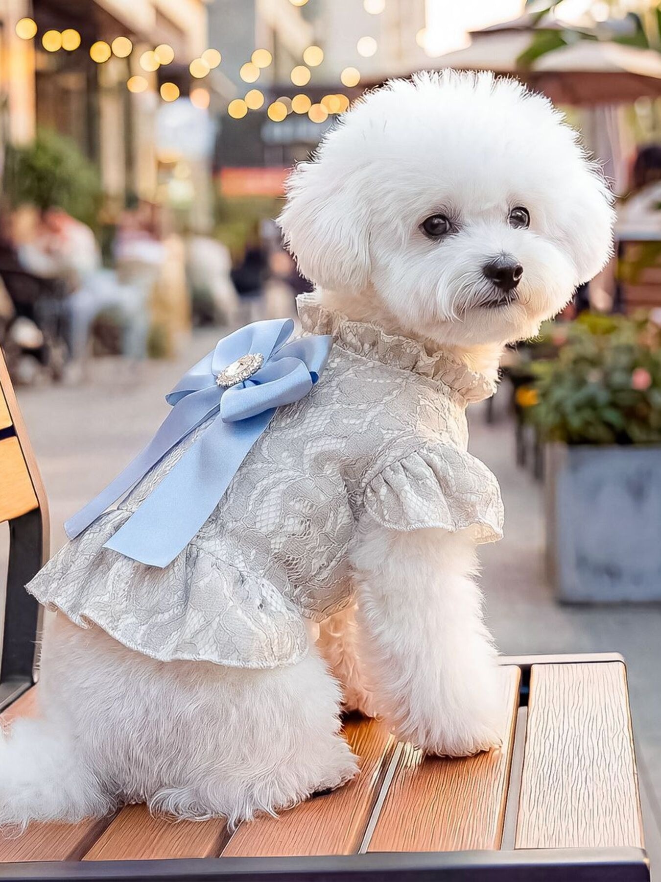 Ruffled Pet Dress with Bow