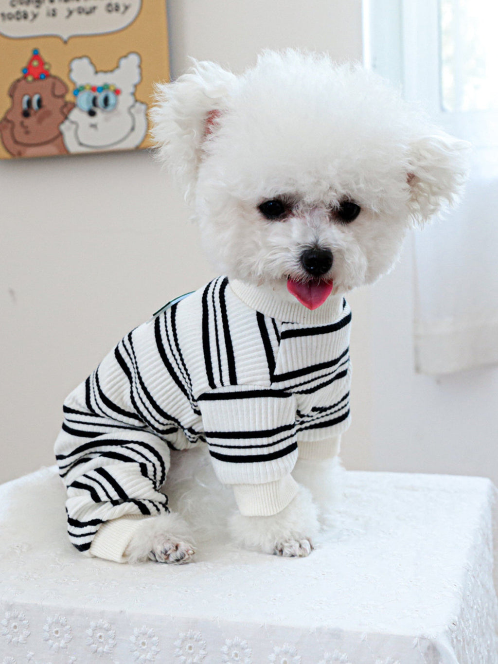 Breathable Knitted Pet Jumpsuits