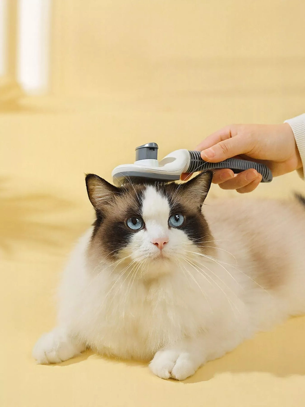 Self-Cleaning Slicker Pet Hair Remover Brush