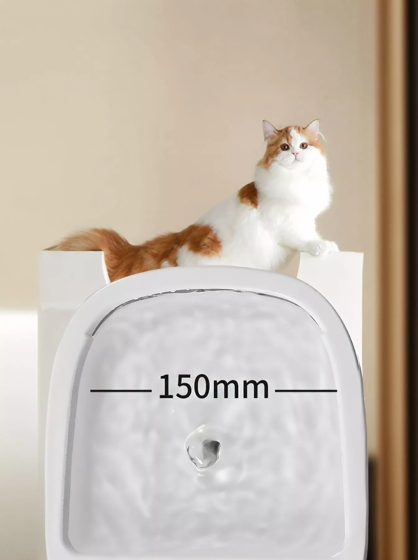 2-in-1 Automatic Water Dispenser & Food Bowl Pet Bowl